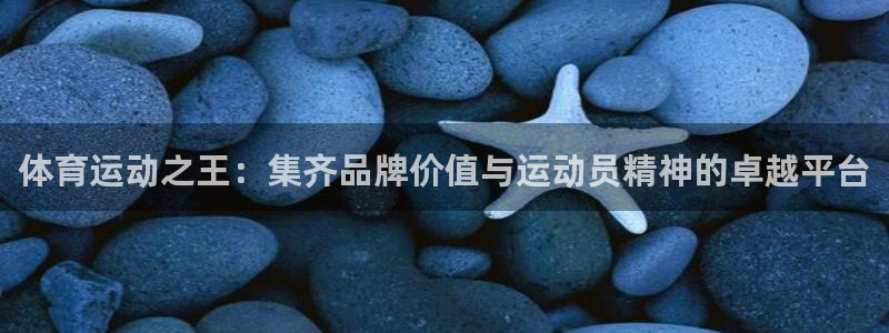 谈球吧体育官网：体育运动之王：集齐品牌价值与运动员精神的卓越平台