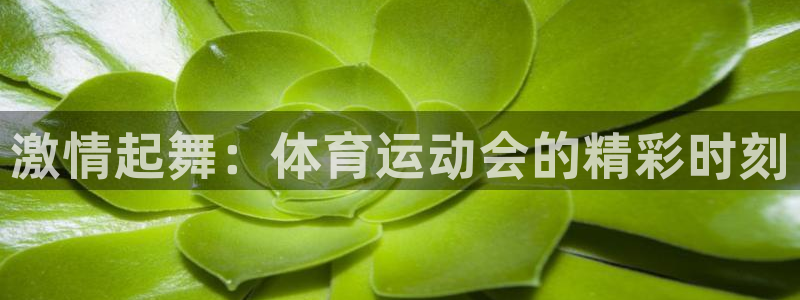 谈球吧体育：激情起舞：体育运动会的精彩时刻