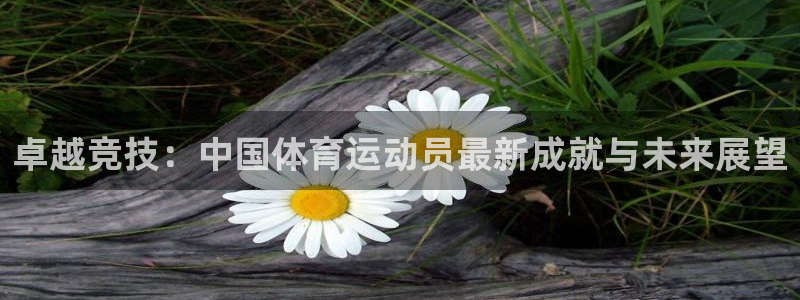 谈球吧体育官网：卓越竞技：中国体育运动员最新成就与未来展望