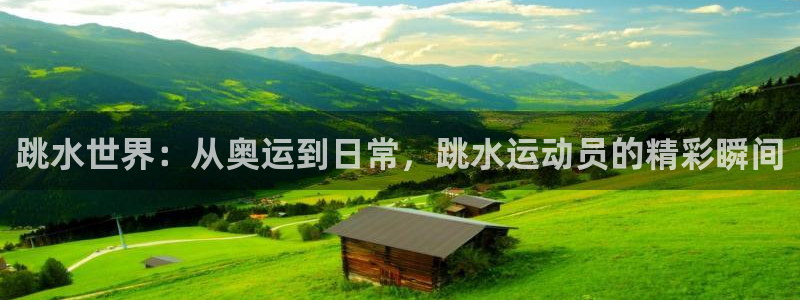 谈球吧：跳水世界：从奥运到日常，跳水运动员的精彩瞬间