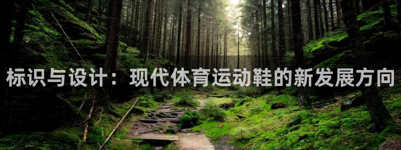 谈球吧体育官网：标识与设计：现代体育运动鞋的新发展方向