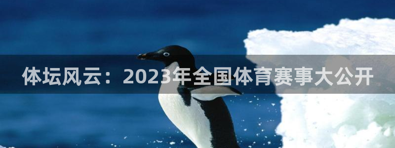 谈球吧体育官网