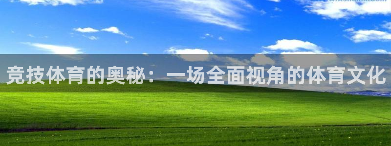 谈球吧体育