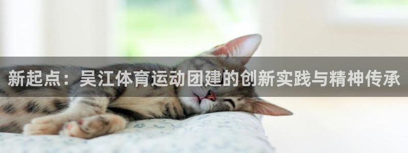 谈球吧体育官网
